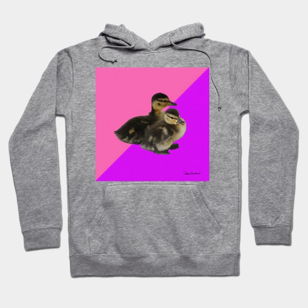 Baby Ducks on Pink Raspberry and Purple Sorbet Hoodie by ButterflyInTheAttic